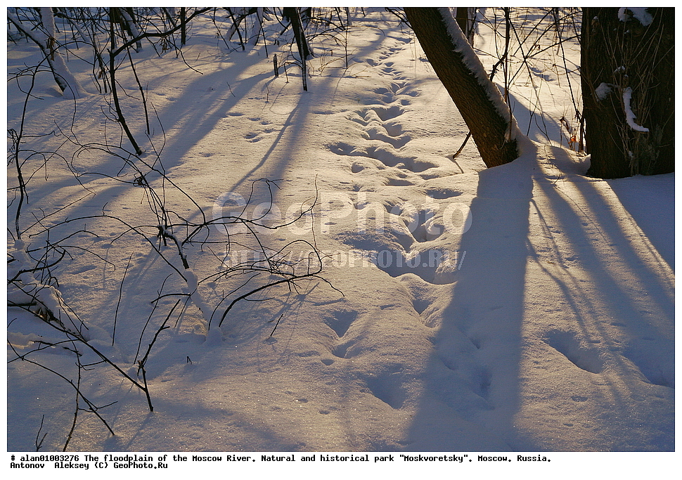 ����, ������, ������ ������, ����, ������-����, ����, ����� ������, ������������ ����, ������, ������ 