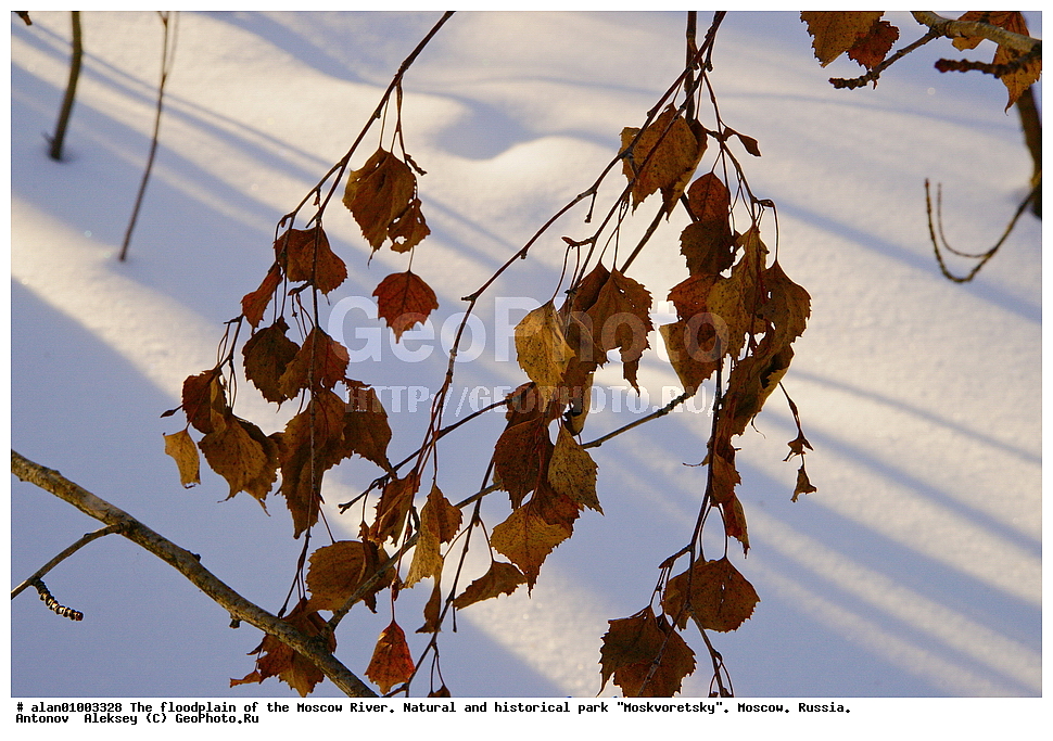 ����, ������, ������ ������, ����, ������-����, ����, ����� ������, ������������ ����, ������, ������ 