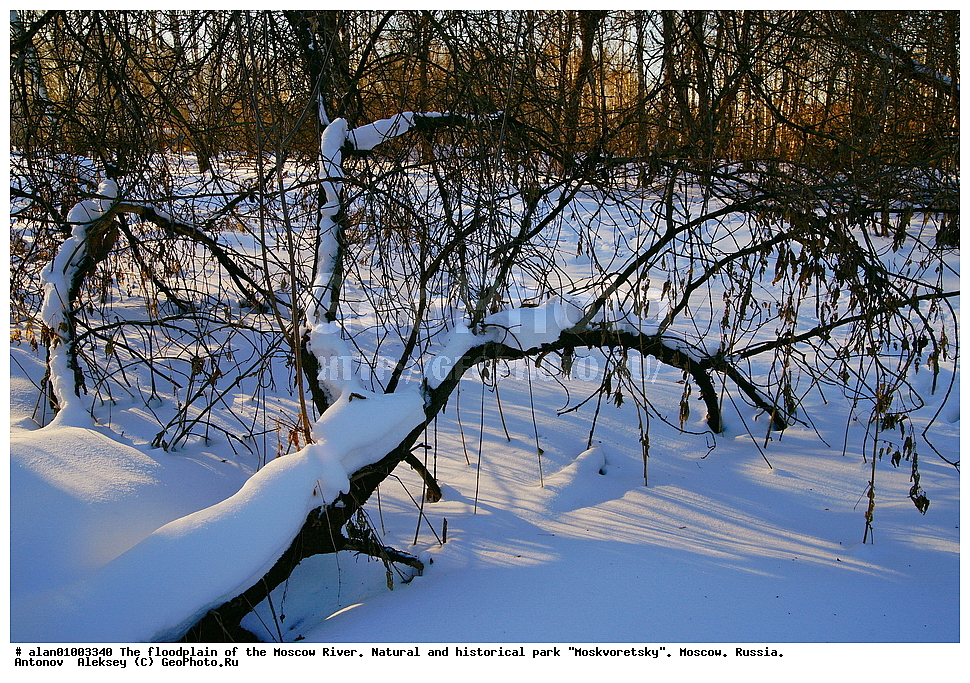 ����, ������, ������ ������, ����, ������-����, ����, ����� ������, ������������ ����, ������, ������ 