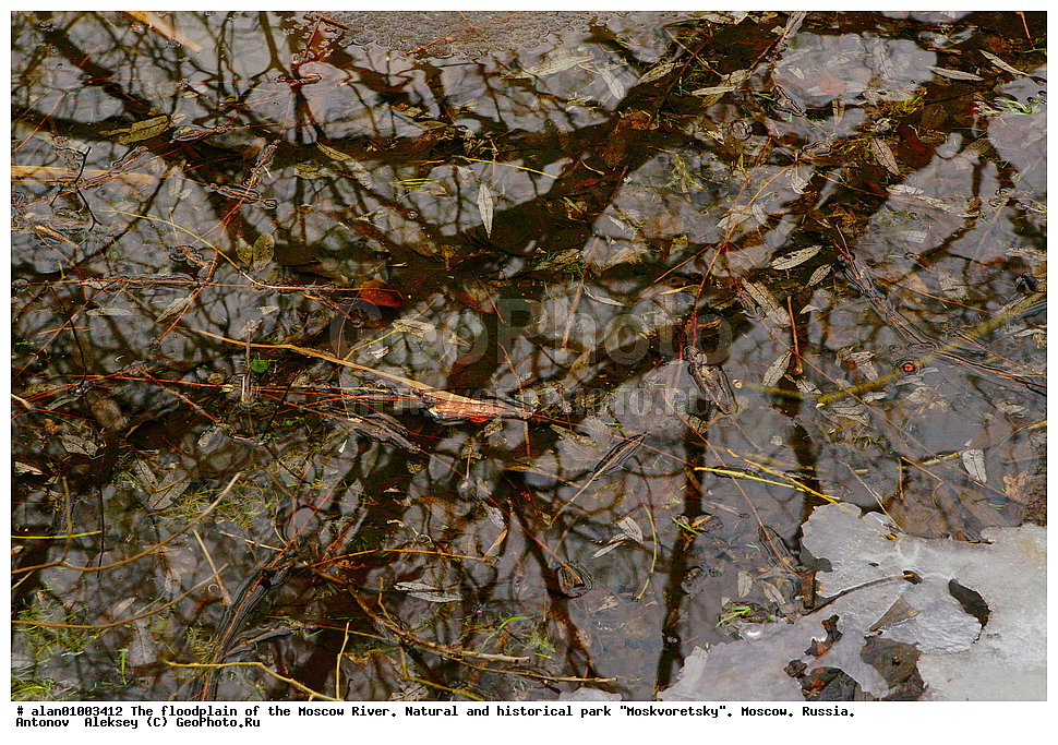 �����, ������, ������� ������, ����, ������-����, ����, ����� ������, ������������ ����, ������, ������ 