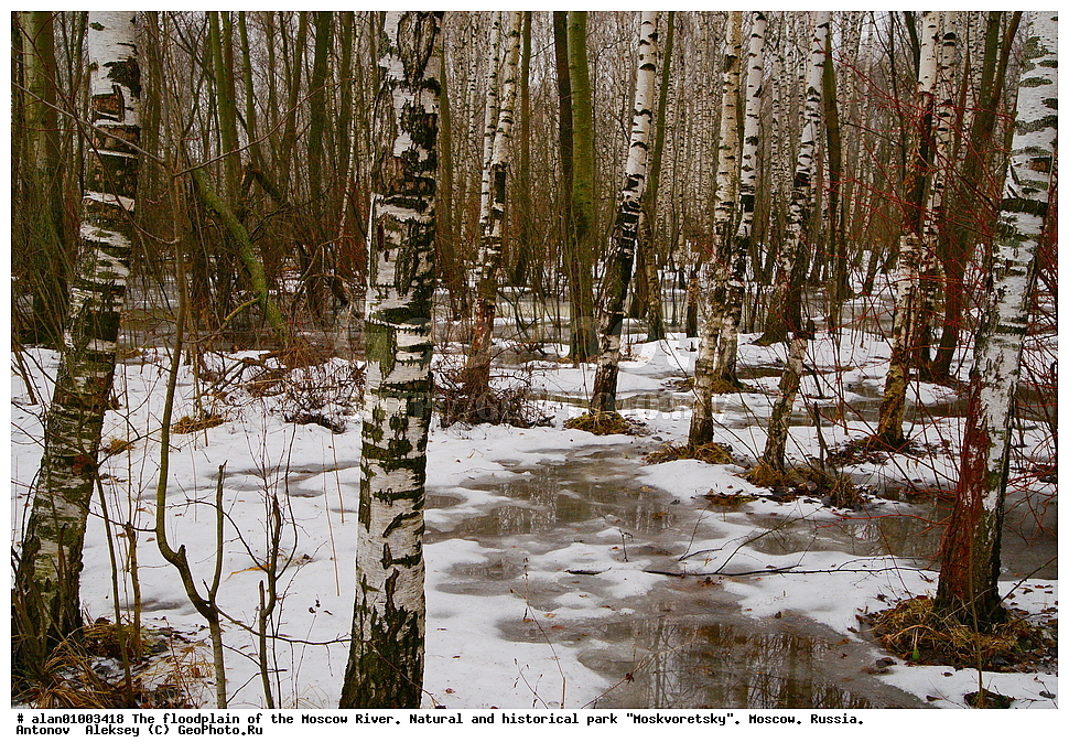 �����, ������, ������� ������, ����, ������-����, ����, ����� ������, ������������ ����, ������, ������ 