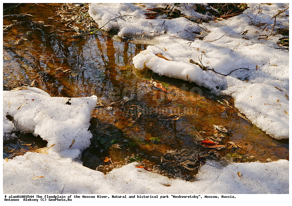 �����, ������, ������� ������, ����, ������-����, ����, ����� ������, ������������ ����, ������, ������ 