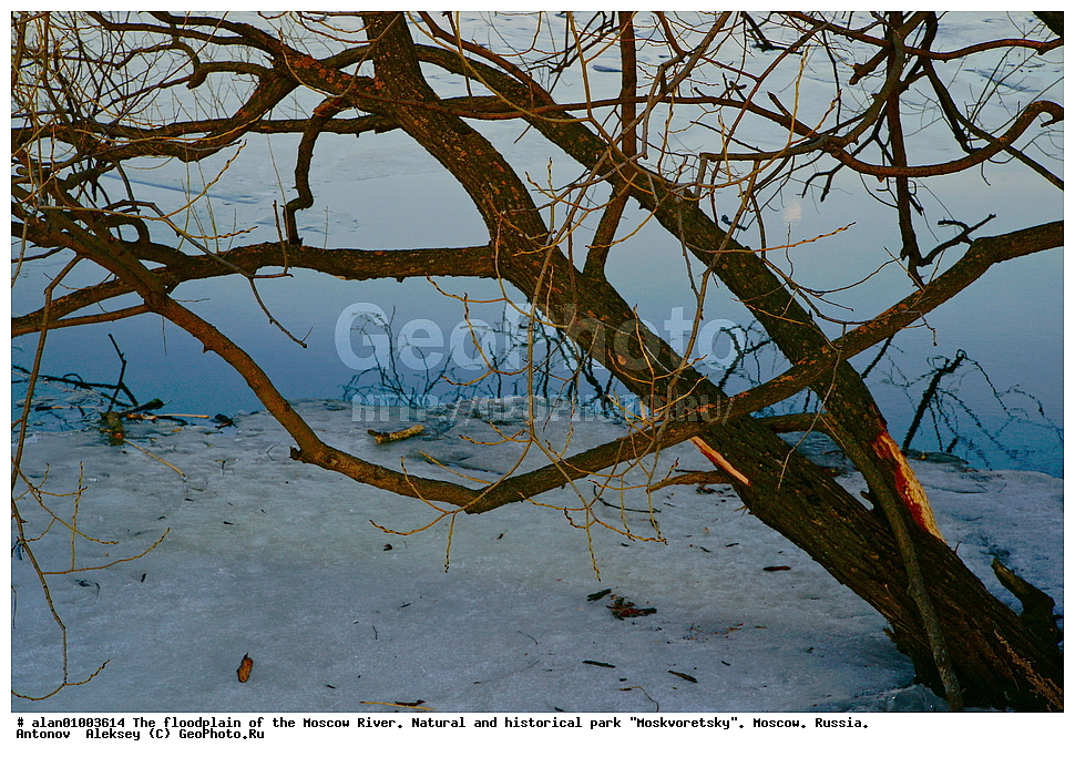 �����, ������, ������� ������, ����, ������-����, ����, ����� ������, ������������ ����, ������, ������ 