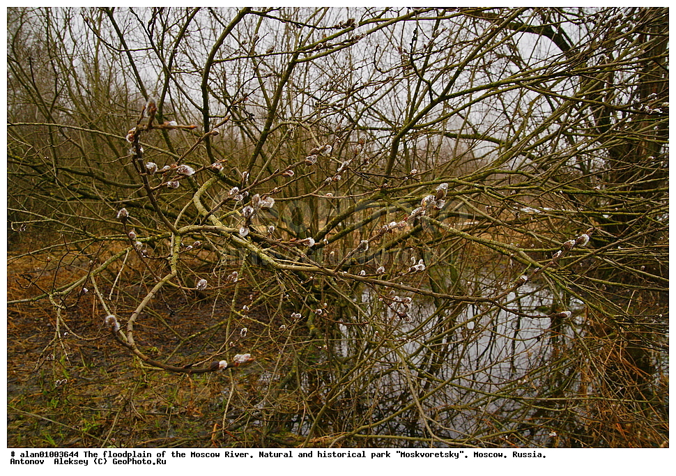 �����, ������, ������� ������, ����, ������-����, ����, ����� ������, ������������ ����, ������, ������ 