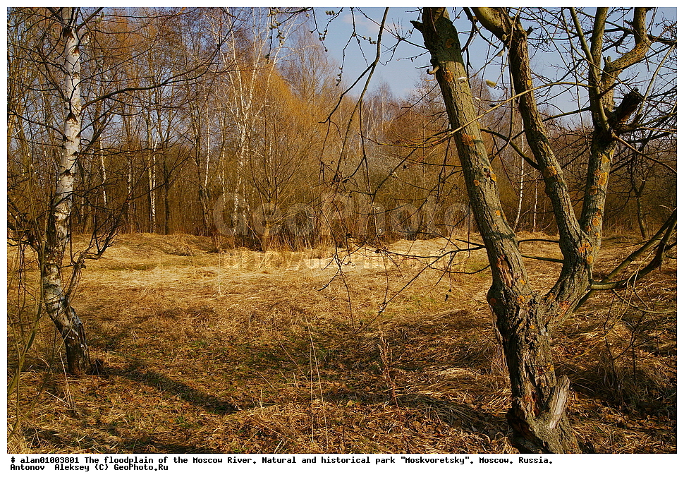 �����, ������, ������� ������, ����, ������-����, ����, ����� ������, ������������ ����, ������, ������ 