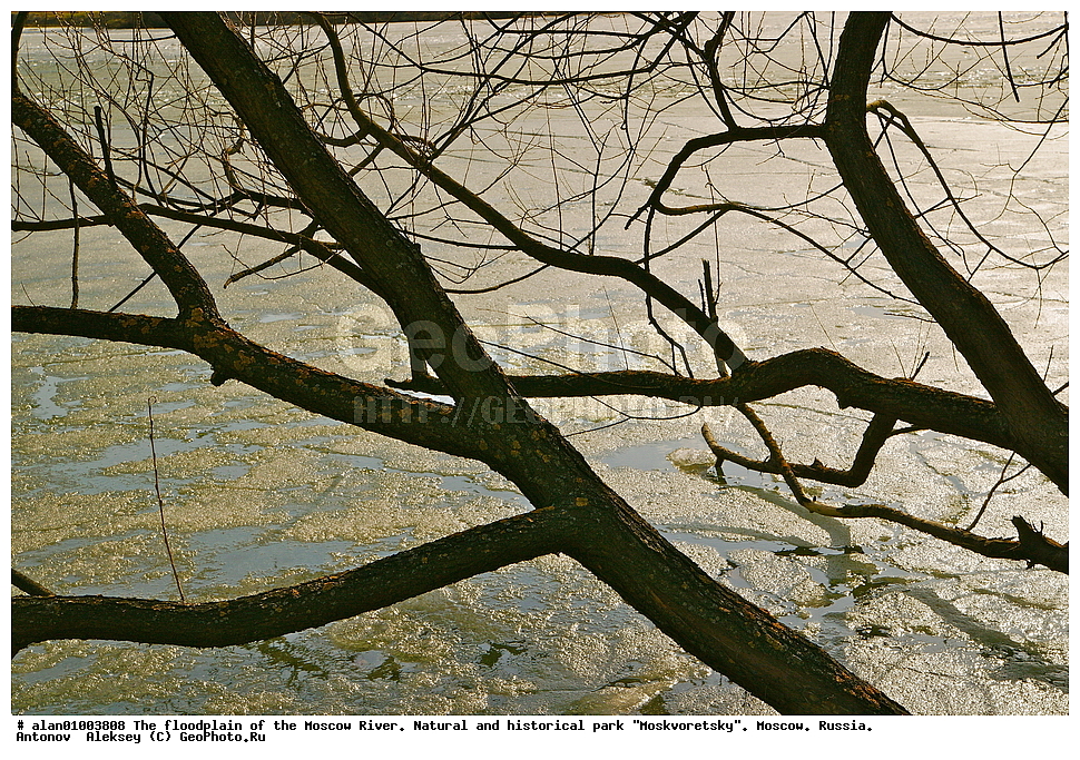 �����, ������, ������� ������, ����, ������-����, ����, ����� ������, ������������ ����, ������, ������ 