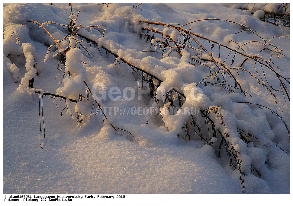 ����, ������, ������ ������, ����, ������-����, ����, ����� ������, ������������ ����, ������, ������ 