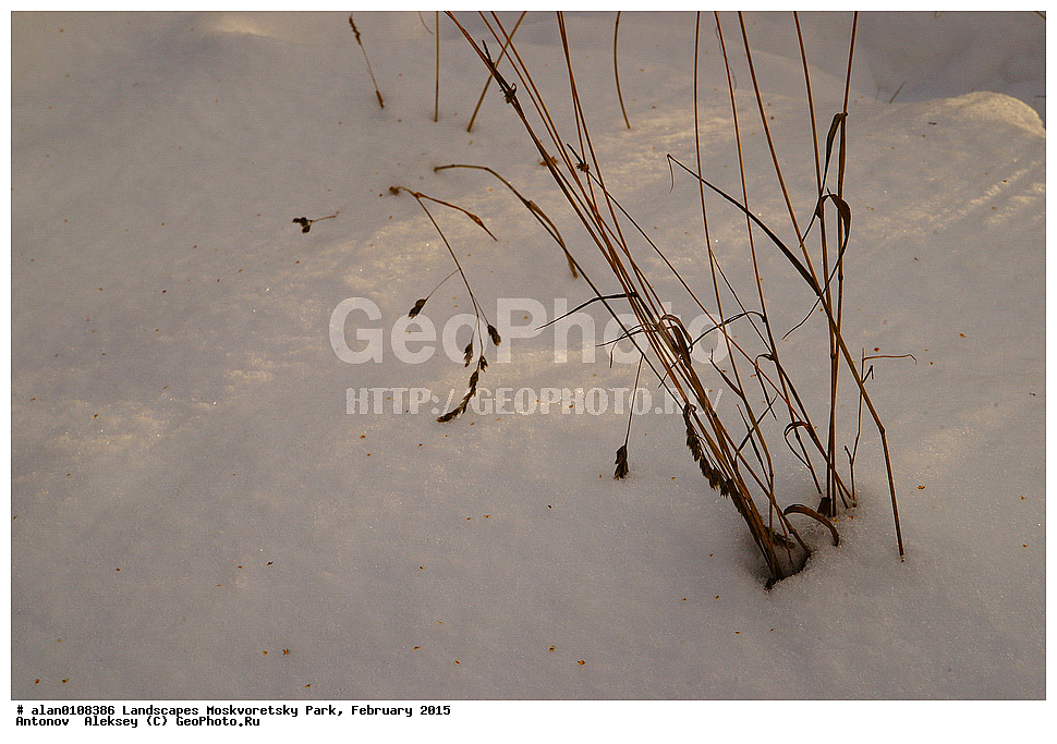 ����, ������, ������ ������, ����, ������-����, ����, ����� ������, ������������ ����, ������, ������