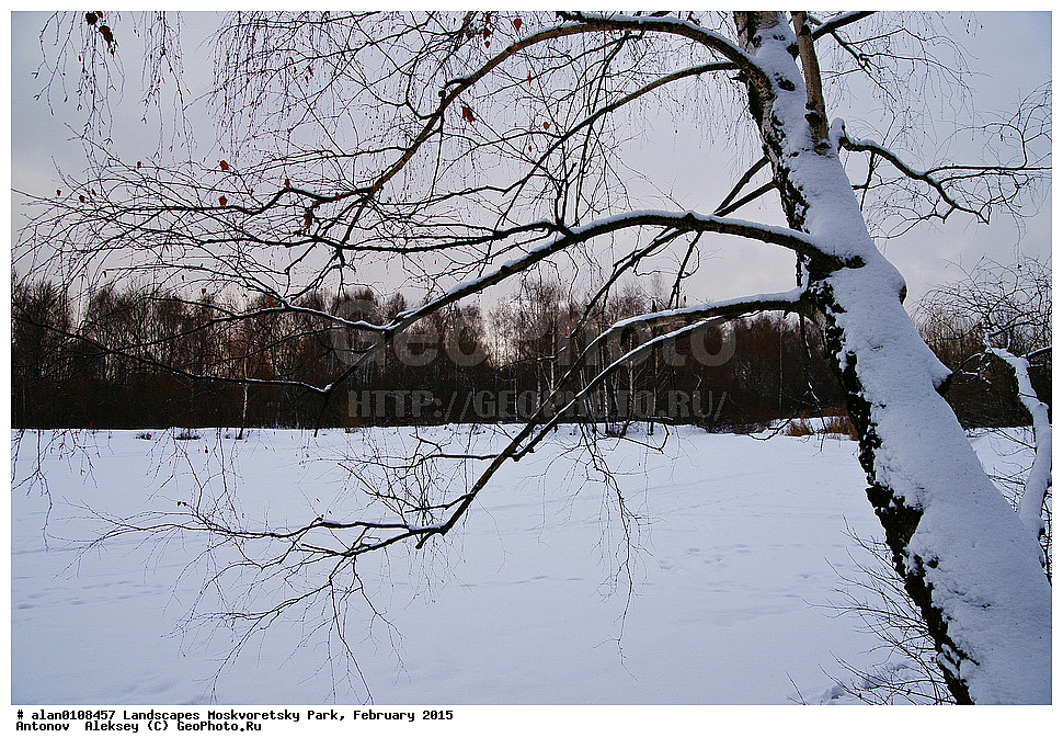 ����, ������, ������ ������, ����, ������-����, ����, ����� ������, ������������ ����, ������, ������