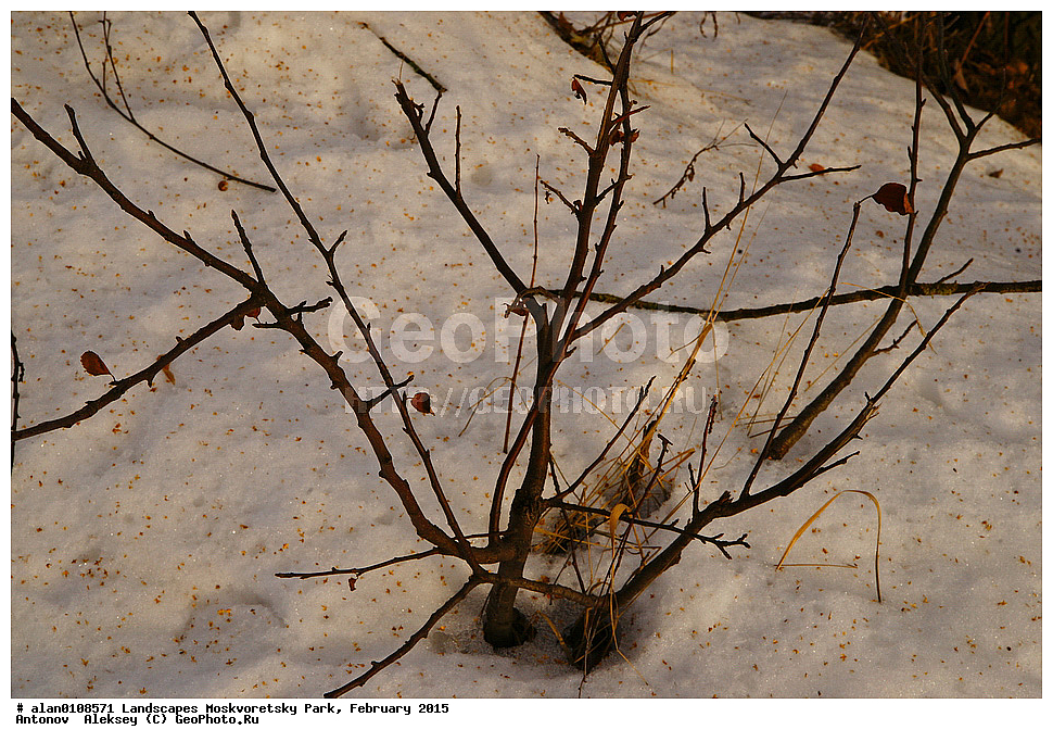 ����, ������, ������ ������, ����, ������-����, ����, ����� ������, ������������ ����, ������, ������