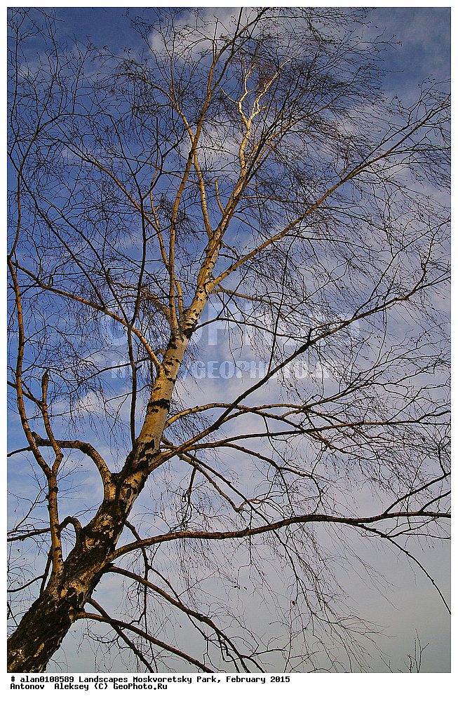 ����, ������, ������ ������, ����, ������-����, ����, ����� ������, ������������ ����, ������, ������  