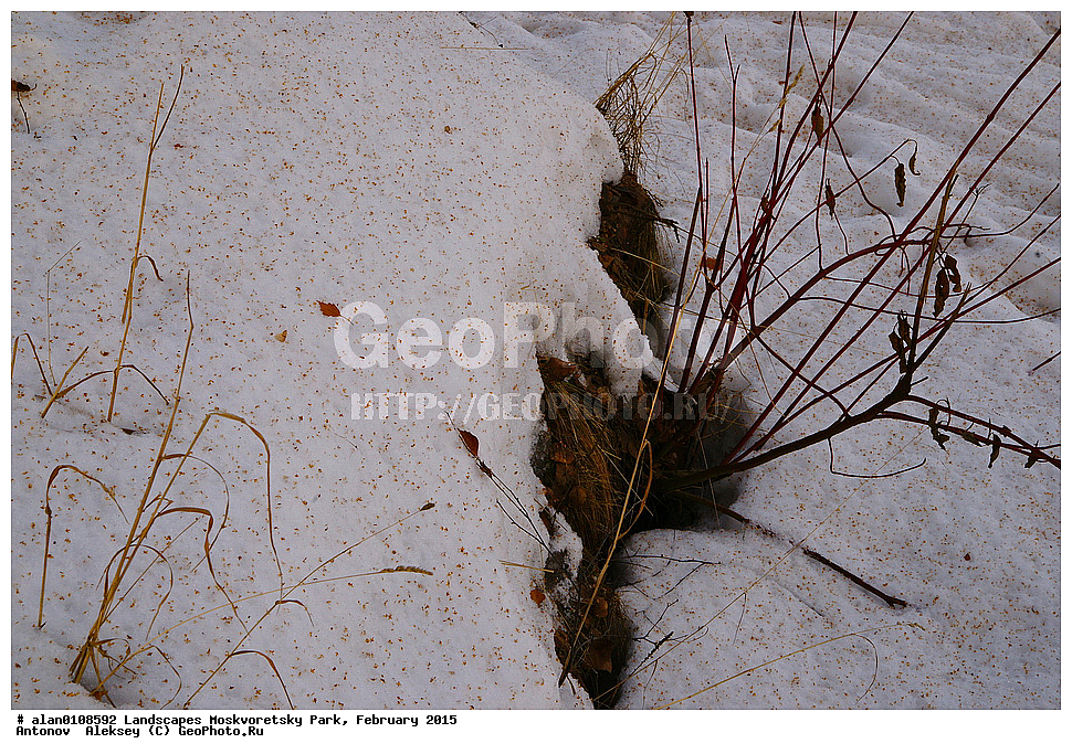 ����, ������, ������ ������, ����, ������-����, ����, ����� ������, ������������ ����, ������, ������ 