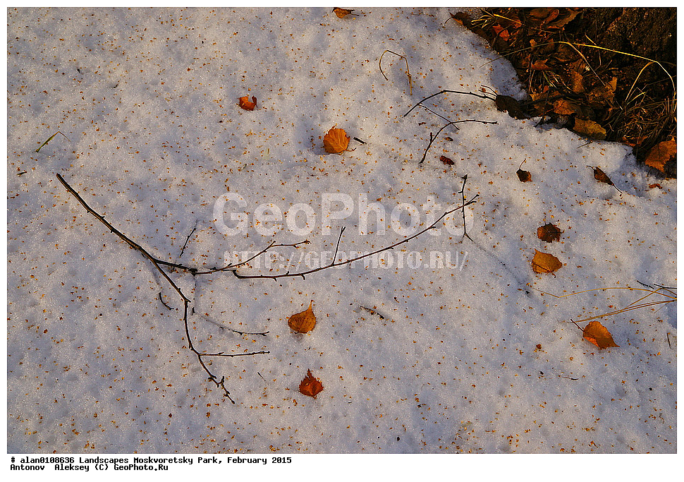 ����, ������, ������ ������, ����, ������-����, ����, ����� ������, ������������ ����, ������, ������ 