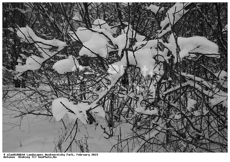 ����, ������, ������ ������, ����, ������-����, ����, ����� ������, ������������ ����, ������, ������ 