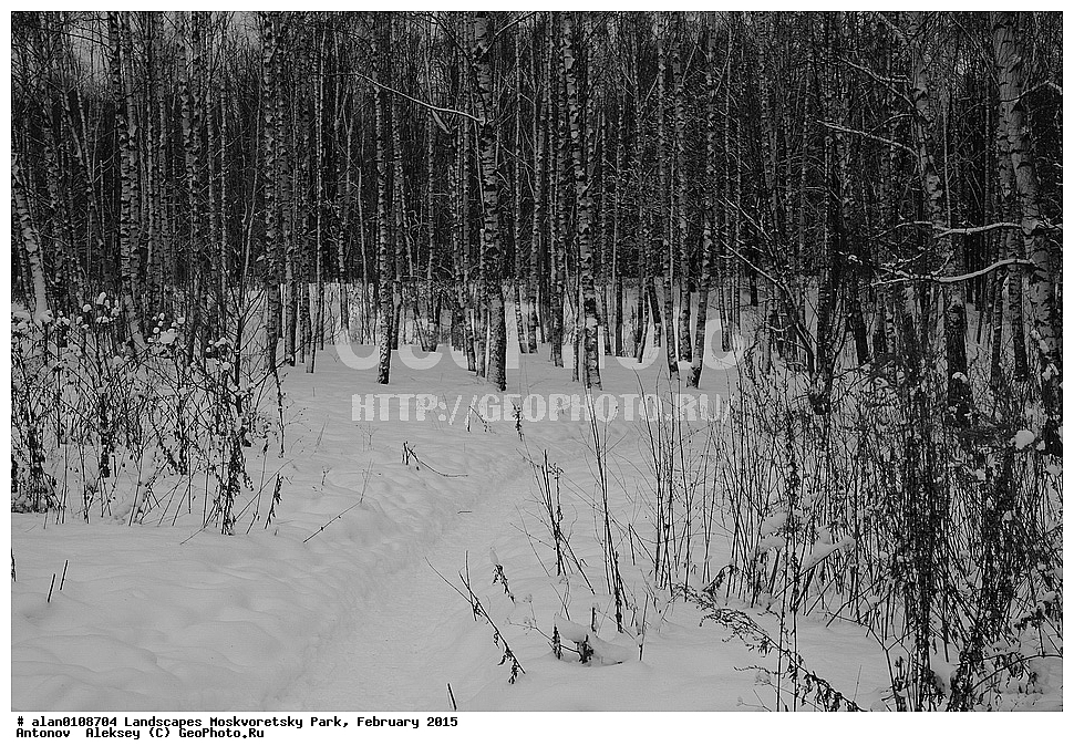 ����, ������, ������ ������, ����, ������-����, ����, ����� ������, ������������ ����, ������, ������ 