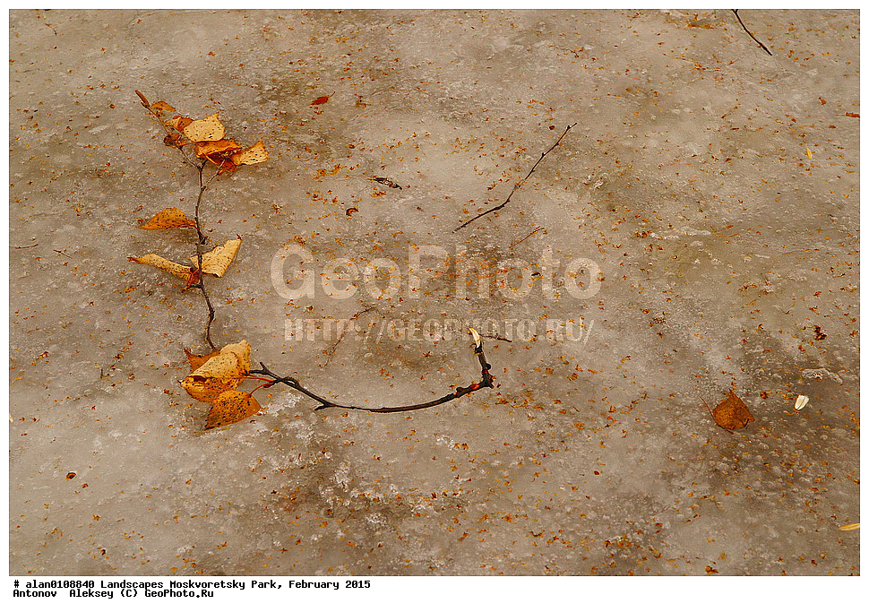 ����, ������, ������ ������, ����, ������-����, ����, ����� ������, ������������ ����, ������, ������ 