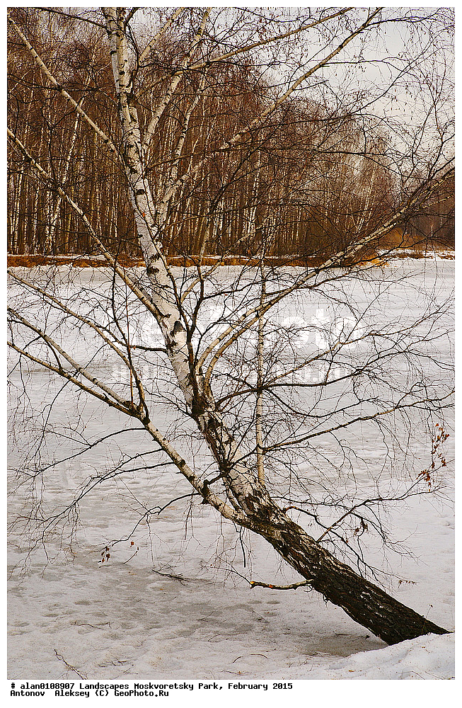 ����, ������, ������ ������, ����, ������-����, ����, ����� ������, ������������ ����, ������, ������