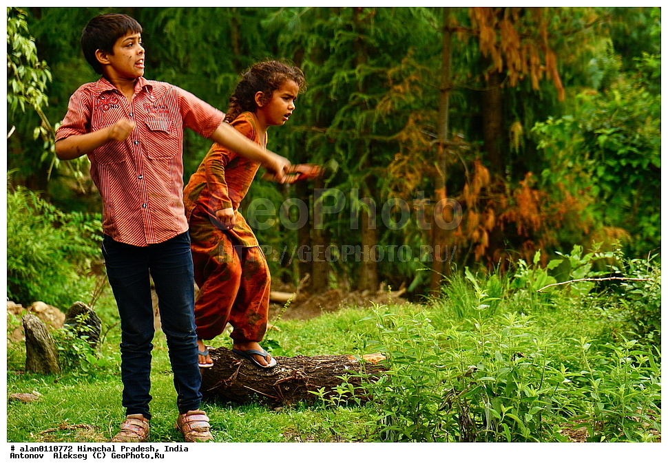 ����, ��������� ����, �������, ��������� �������, ������� ����������� ����������, ������ �������, ������� ������, �����, ����