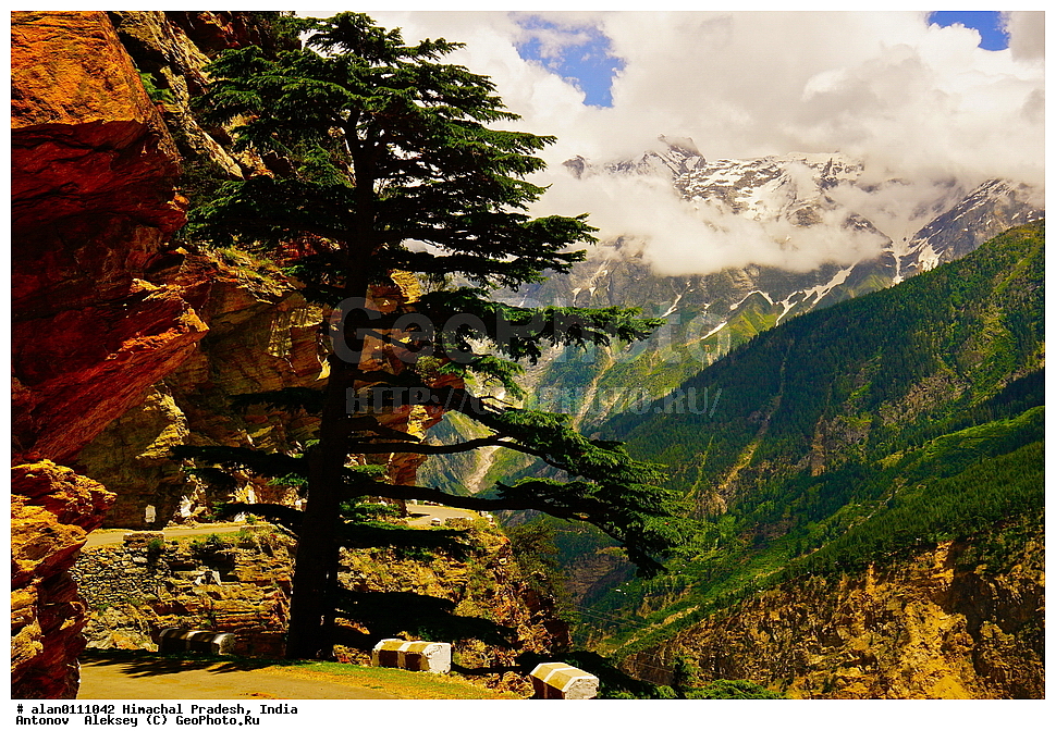 �������, ��������� �������, ������ ������, �������, ������ ������, ������ ������, ������� ������, �����, ����