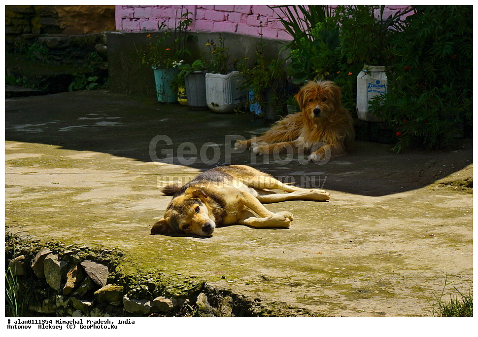 �������, ��������� �������, ������, ������ ����, ������� ������, �����, ����