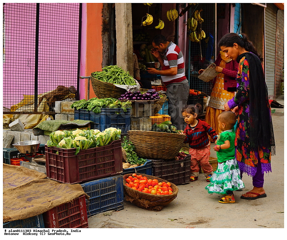 �������, ��������� �������, ������, ������ ����, ������� ������, �����, ����