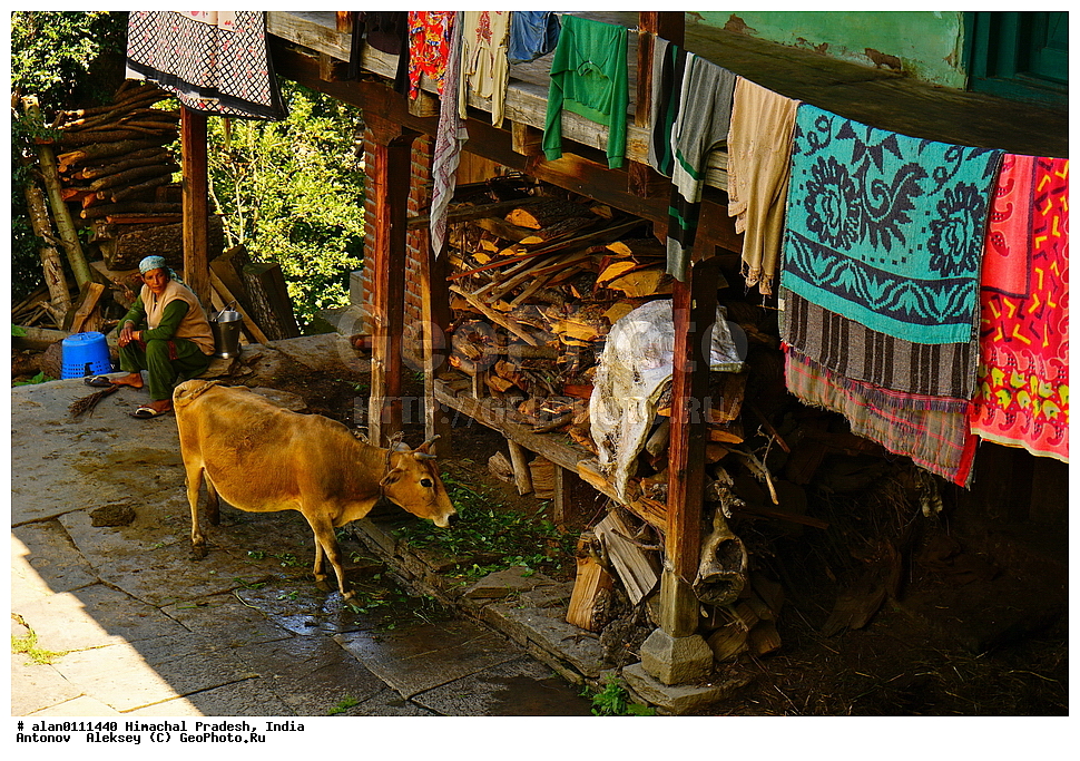 �������, ��������� �������, ������� �����, ������ ����, ������� ������, �����, ����