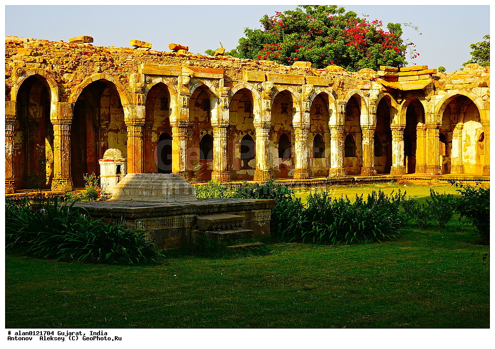 ��������������� ���� ��������-��������, ��������, �����, ����