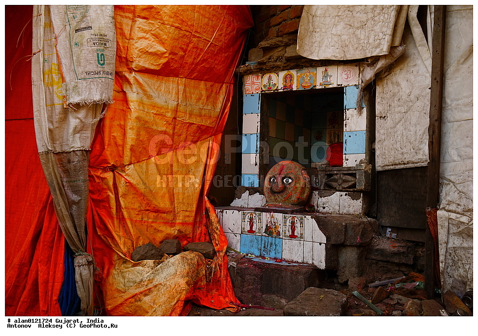 ���� ������ ����, ��������, ��������, �����, ����