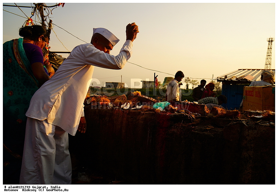 ���� ������ ����, ��������, ��������, �����, ����