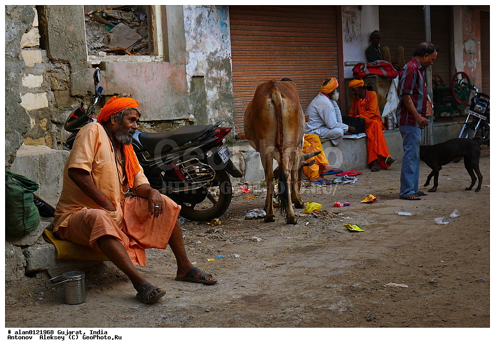 ������, ��������, �����, ����