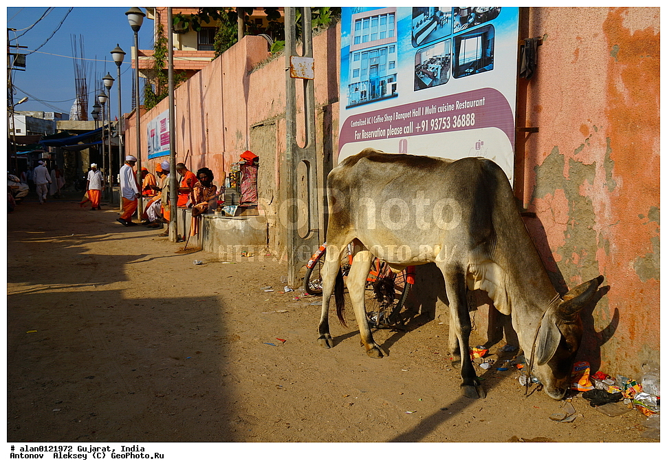 ������, ��������, �����, ����