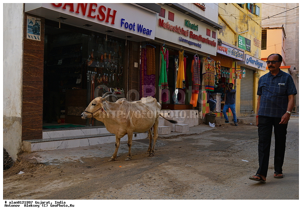 ������, ��������, �����, ����