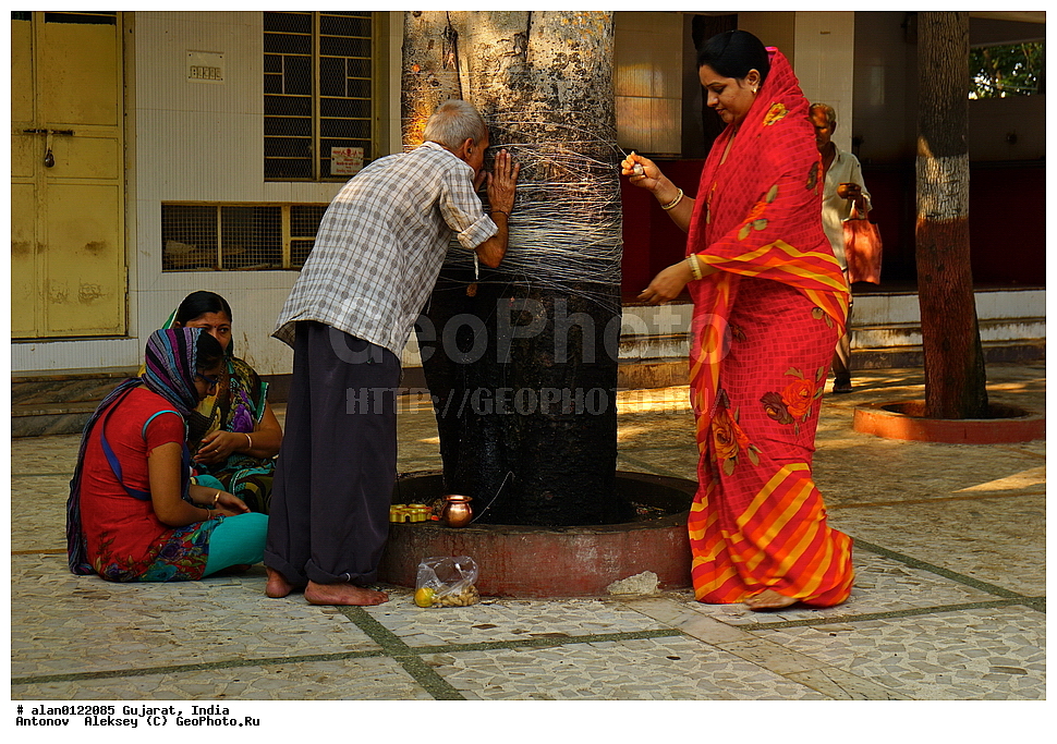 ������ ������������, ������� ������, ���������, ��������, �����, ����