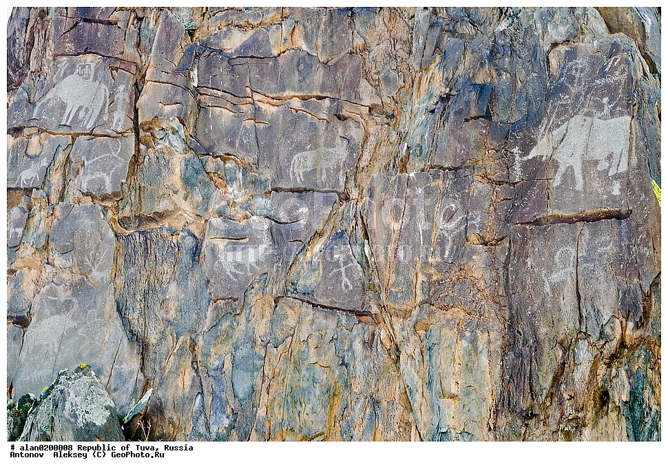 ���������� ����, ������