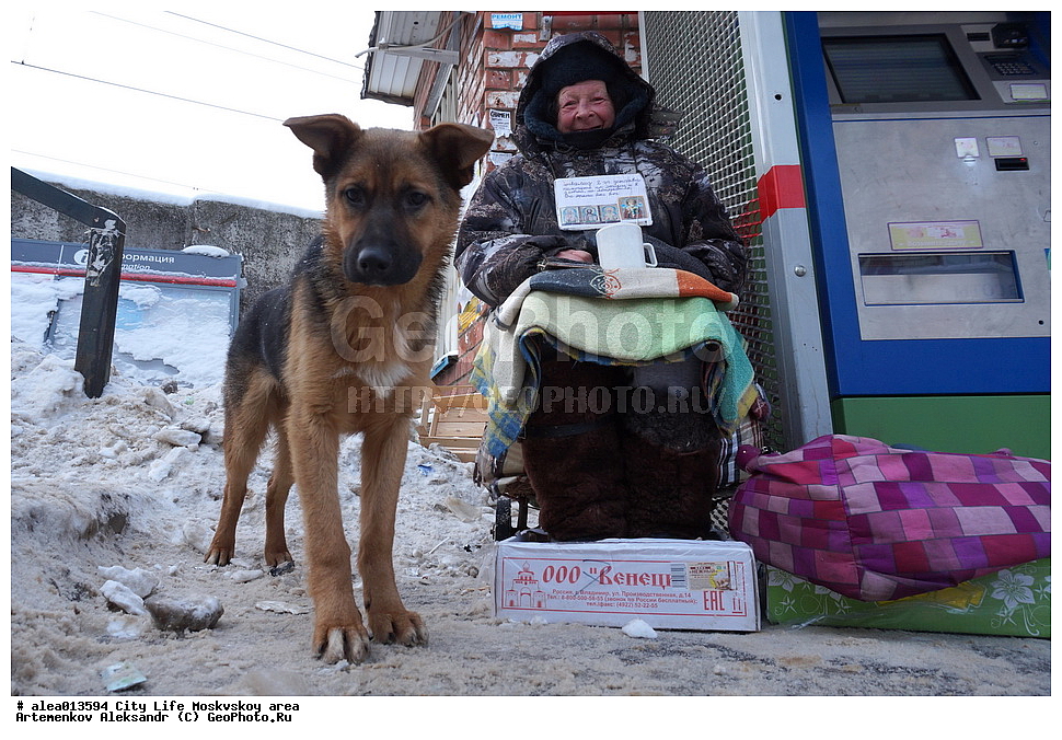 �����, �����, ���������� �������, ������, ����