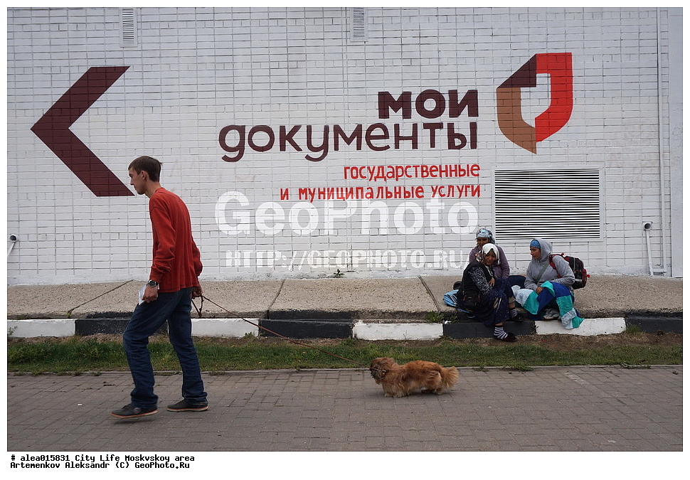 �����, �����, ���������� �������, ������, ����