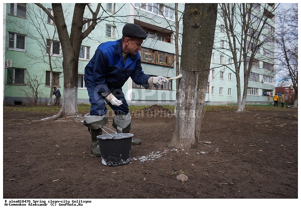 �����, ���������, �����, ��������, ����������� �����, ���������� �������, ������