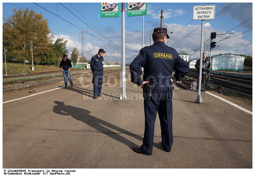 ���������, �����������