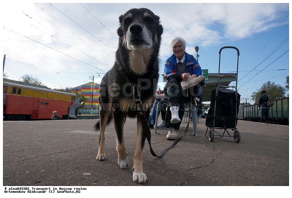 ���������, �����������