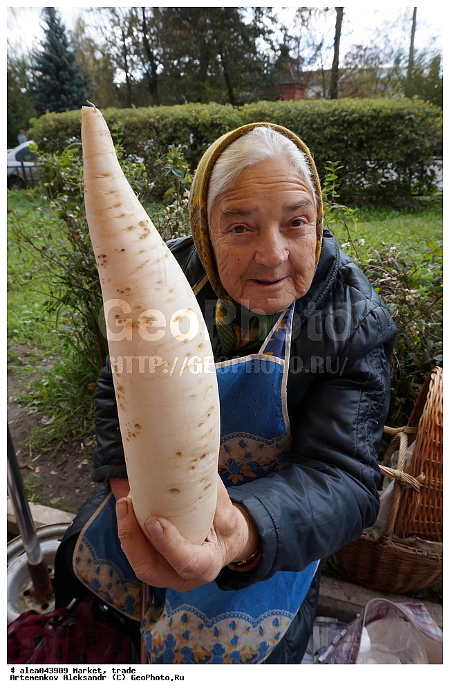 �����, ��������