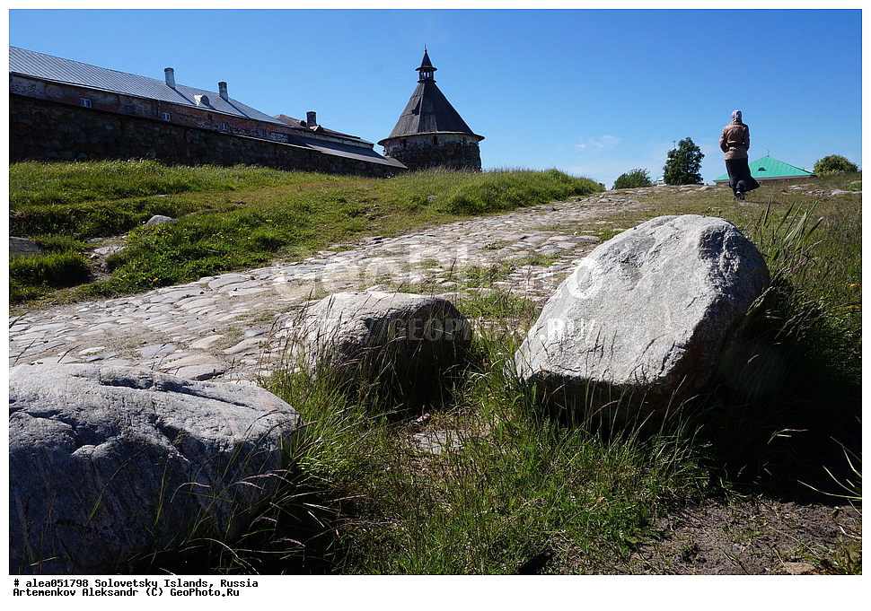 ����������, �����-��������������, ���������, ���������, ���, ����, ������������, �����, ����������, ������� ����������, ������, �������������, �������