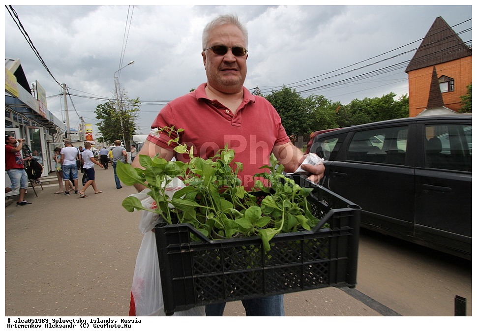 �������, ����, �������, �������, �������, ���������� �������