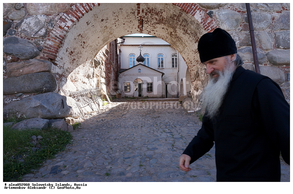 ����������, �����-��������������, ���������, �������, �����������, ������, ����������, �����, ������� ����������, ������, �������������, �������