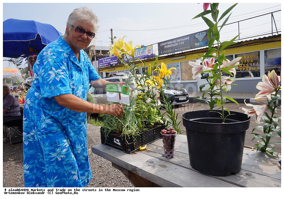  ���������� �������, ��������, �����, �����