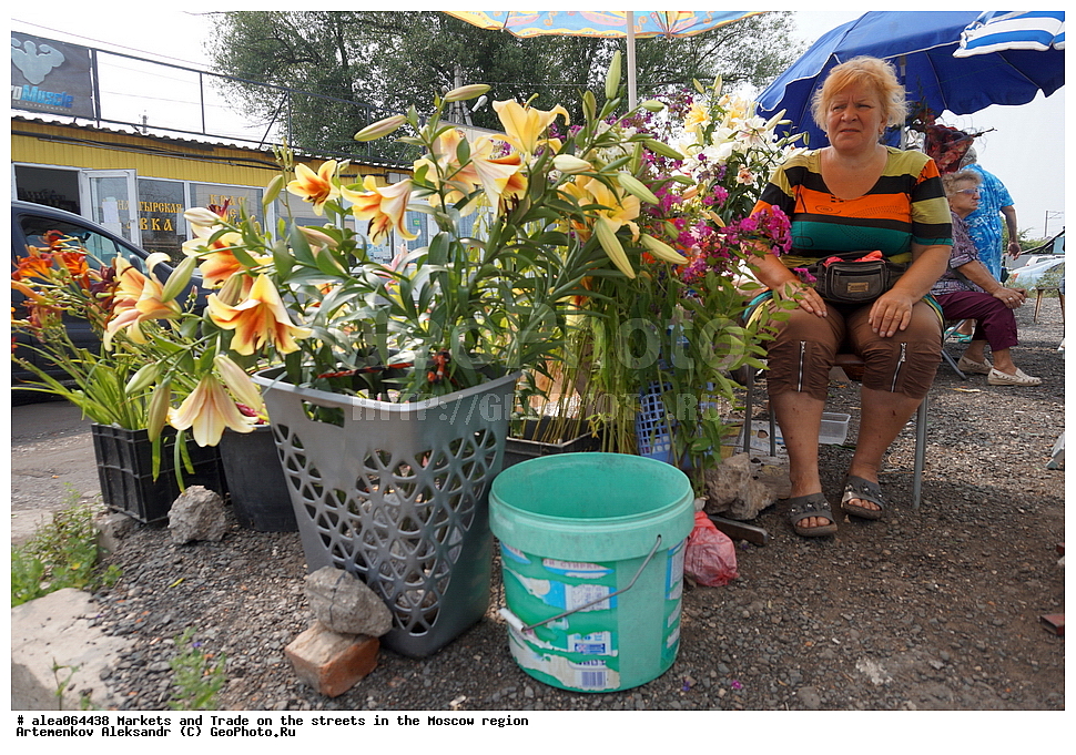  ���������� �������, ��������, �����, �����