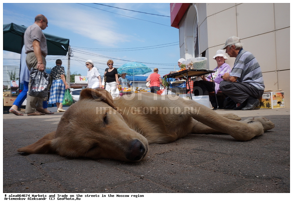  ���������� �������, ��������, �����, �����