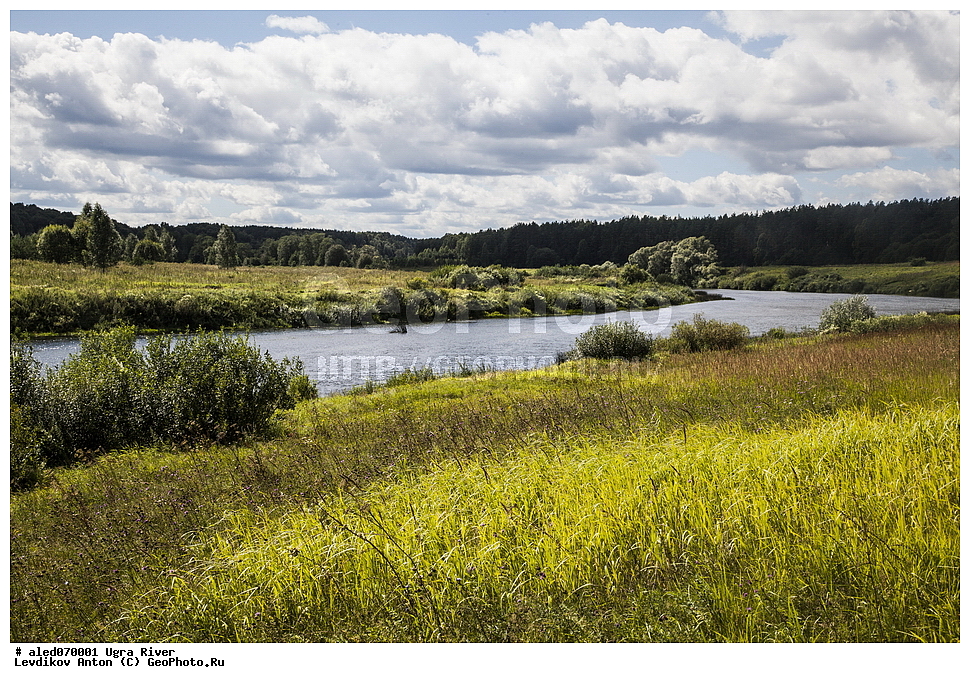 ����, ����, ����, ������, ����