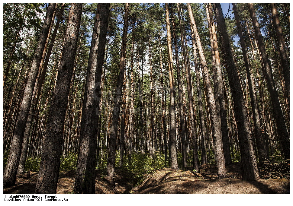 ����, ���, �������,�������� ���,�����,�����