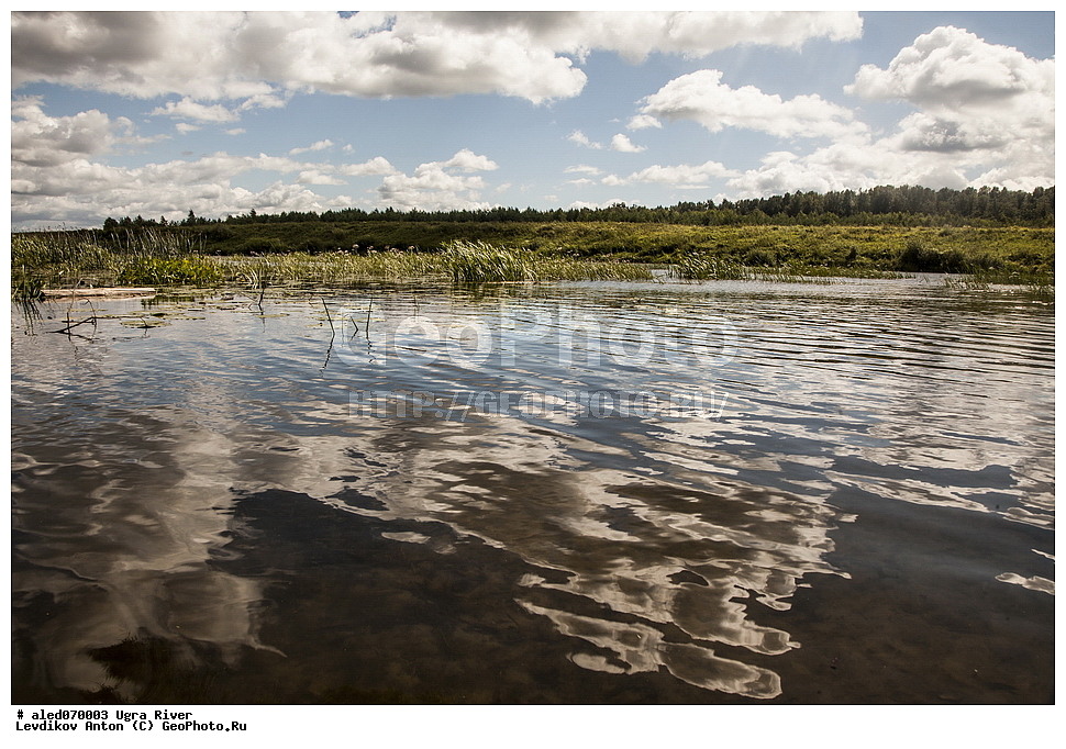 ����, ����, ����, ������, ����