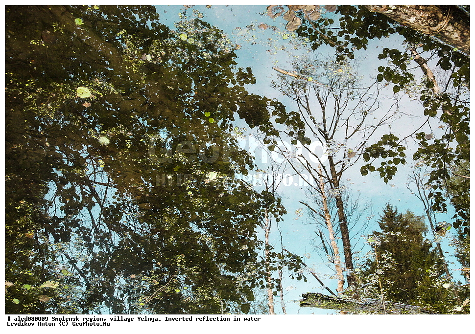 ���������� �������, �������, �����,���������, ����